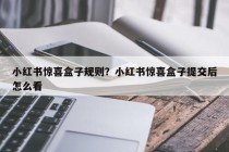 小红书惊喜盒子规则？小红书惊喜盒子提交后怎么看