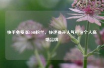 快手免费涨1000粉丝，快速提升人气打造个人高端品牌