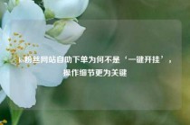 ks粉丝网站自助下单为何不是‘一键开挂’，操作细节更为关键