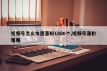 视频号怎么快速涨粉1000个,视频号涨粉策略