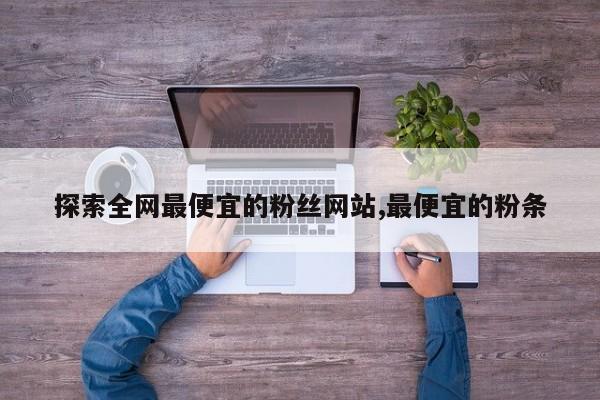 探索全网最便宜的粉丝网站,最便宜的粉条