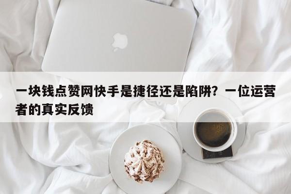一块钱点赞网快手是捷径还是陷阱?一位运营者的真实反馈