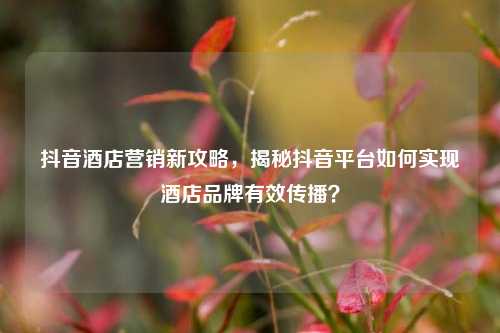 抖音酒店营销新攻略,揭秘抖音平台如何实现酒店品牌有效传播?