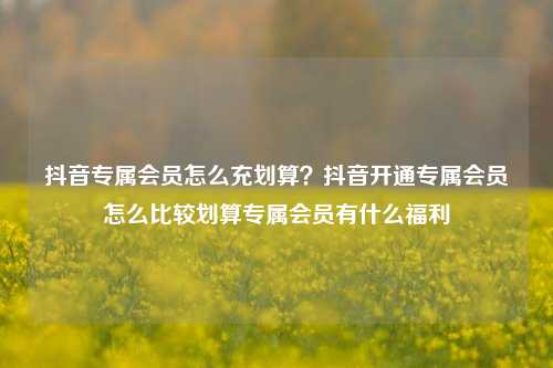 抖音专属会员怎么充划算?抖音开通专属会员怎么比较划算专属会员有什么福利