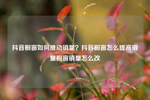 抖音橱窗如何推动销量?抖音橱窗怎么提高销量橱窗销量怎么改
