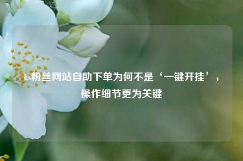 ks粉丝网站自助下单为何不是‘一键开挂’,操作细节更为关键