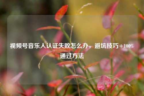 视频号音乐人认证失败怎么办,避坑技巧+100%通过方法