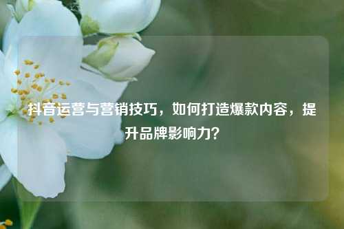 抖音运营与营销技巧,如何打造爆款内容,提升品牌影响力?