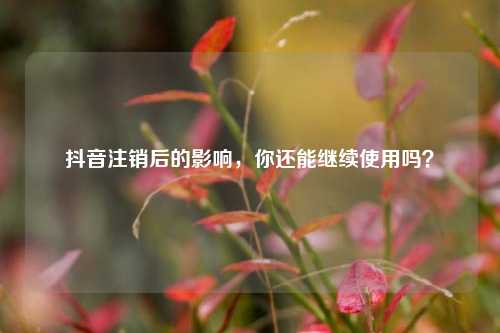 抖音注销后的影响,你还能继续使用吗?