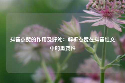 抖音点赞的作用及好处:解析点赞在抖音社交中的重要性